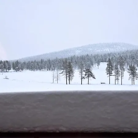 Levin Klubi * ليفي