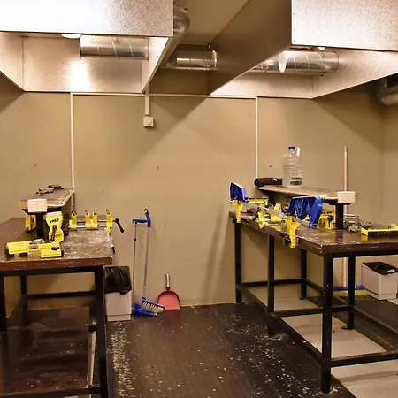 Levin Klubi * ليفي