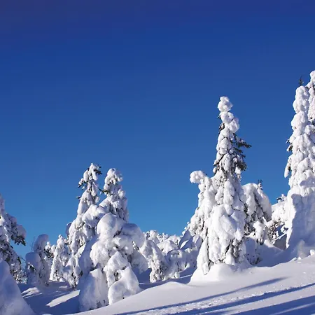 아파트 Levin Klubi 레비