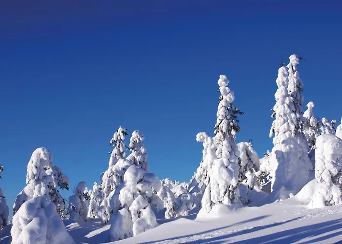 Lägenhet Levin Klubi Levi